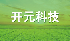 扎實(shí)推進(jìn)鄉(xiāng)村振興